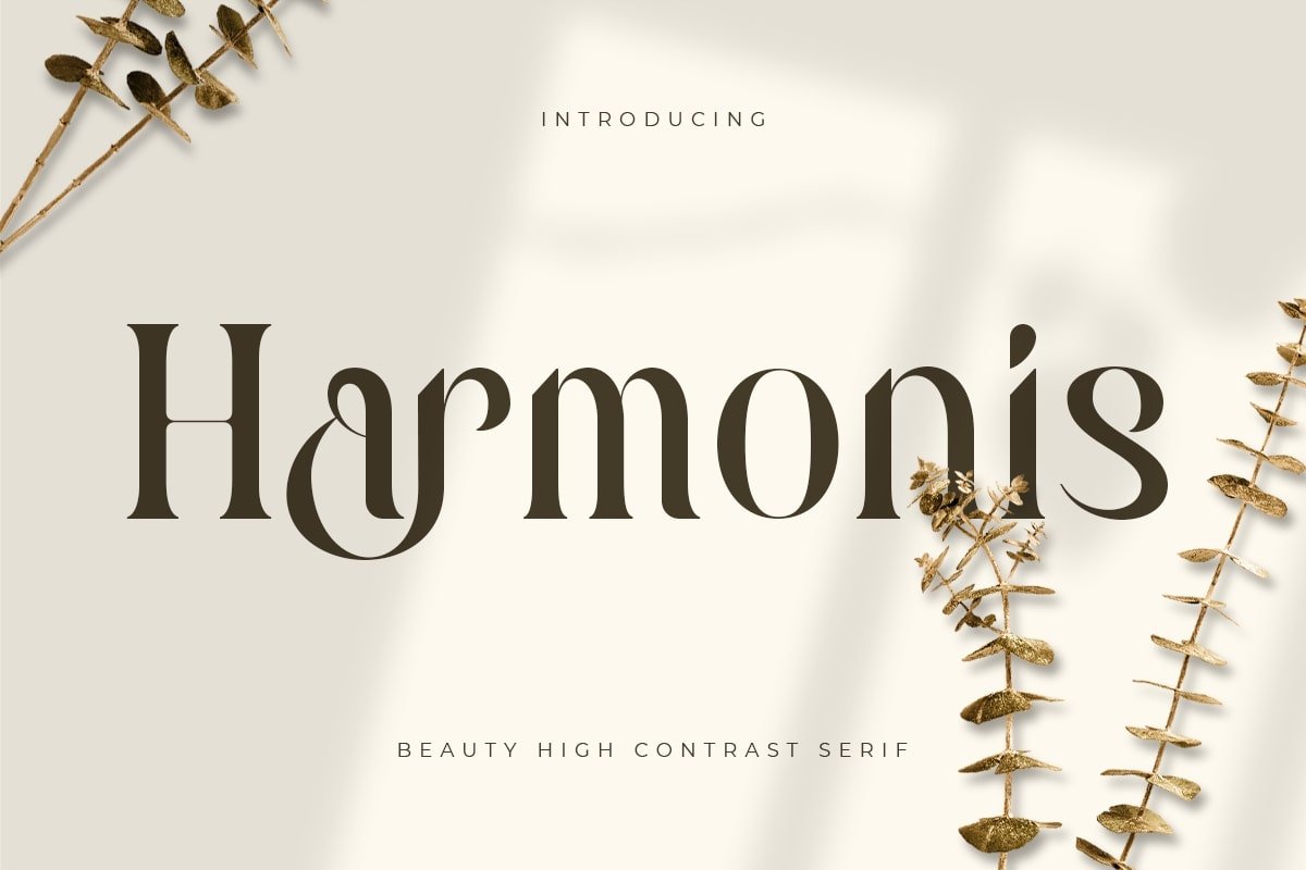 Harmonis - Beauty High Contrast Serif - Design Cuts