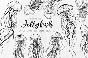 Jellyfish Line Art