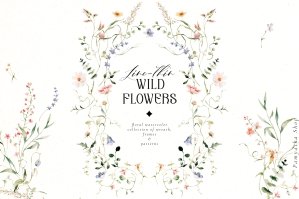 Line-thin Watercolor Wildflowers Clipart