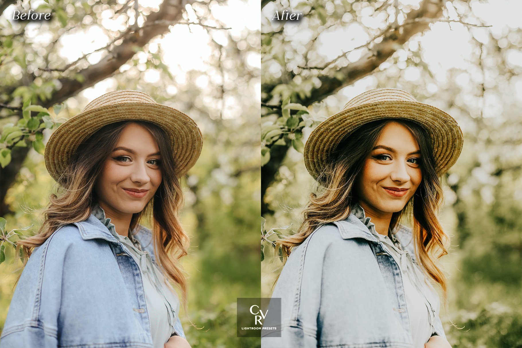 10 Creamy Lightroom Presets - Design Cuts