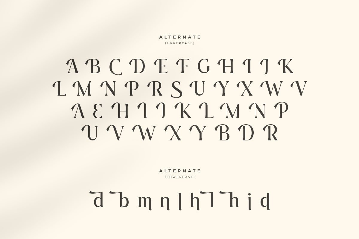 Journey – Modern Aesthetic Serif Font - Design Cuts