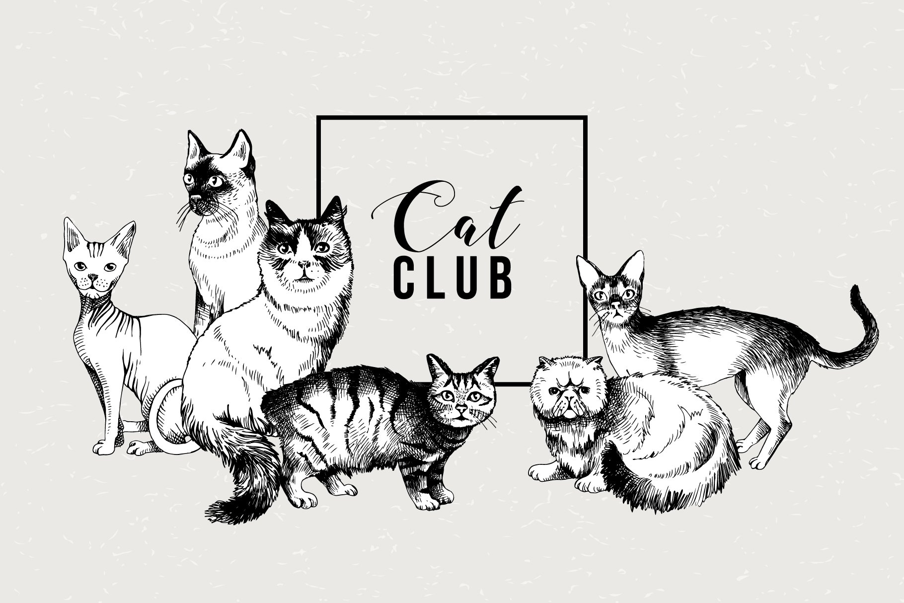 cat-breeds-sketches-lettering-design-cuts