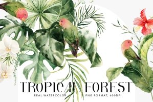 Tropical Forest- Watercolor Greenery
