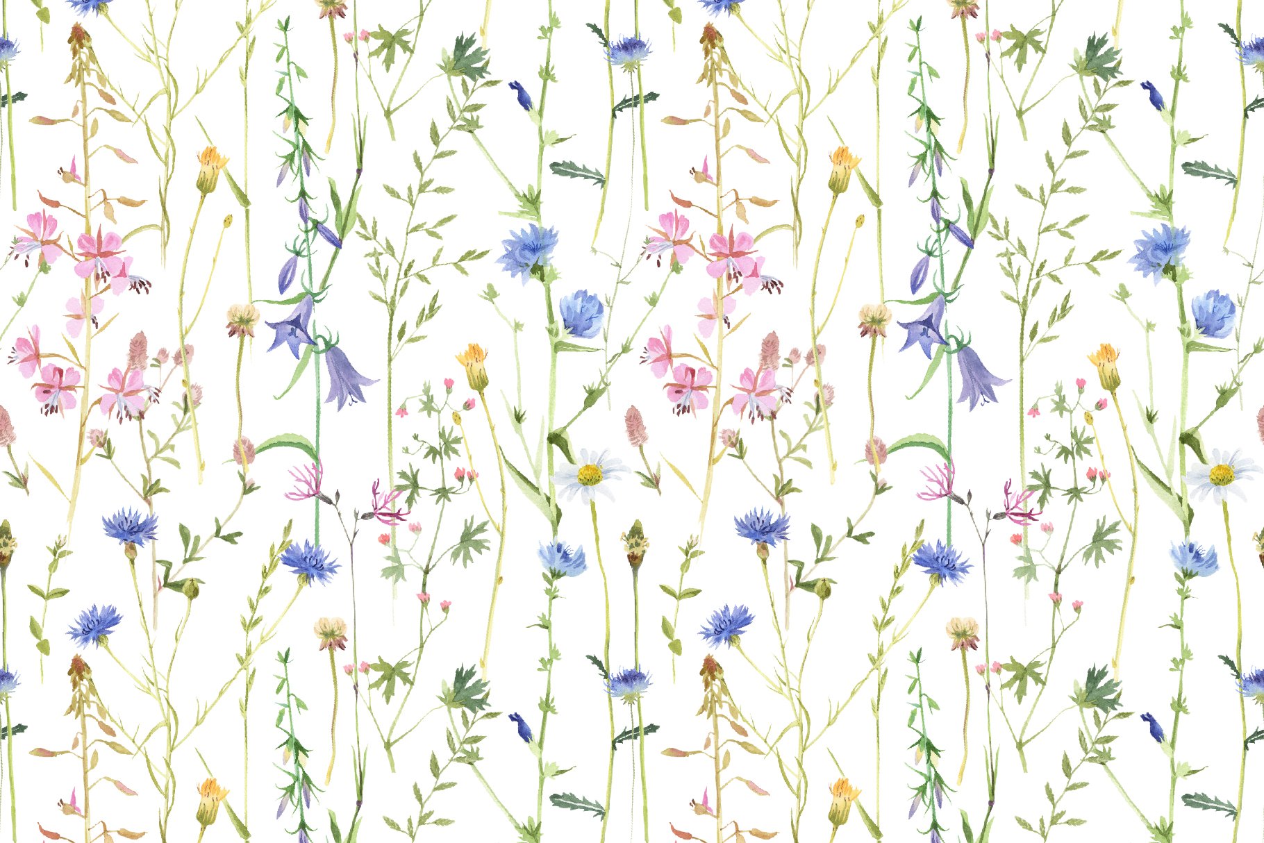 Summer Meadow Watercolor Collection - Design Cuts