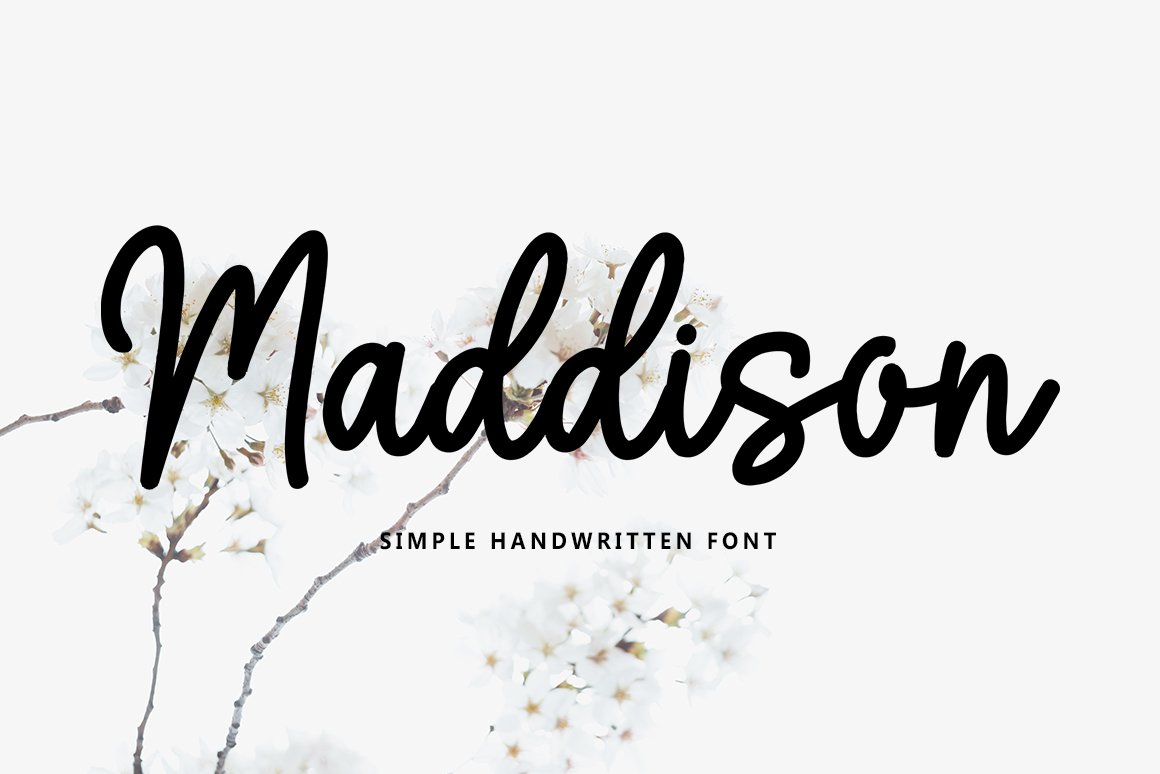 Maddison Script - Design Cuts