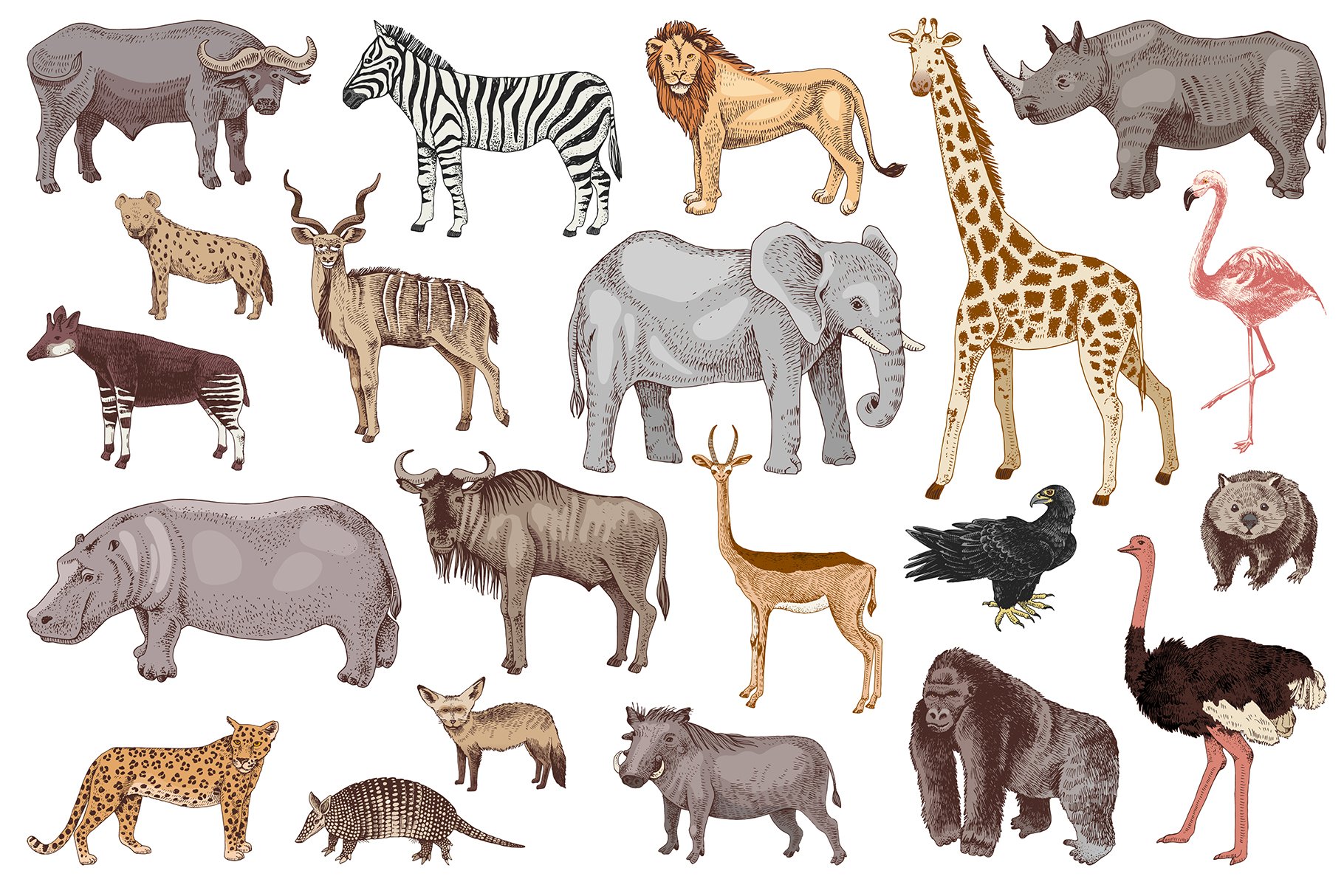 Hand Drawn Savannah Animals - Design Cuts