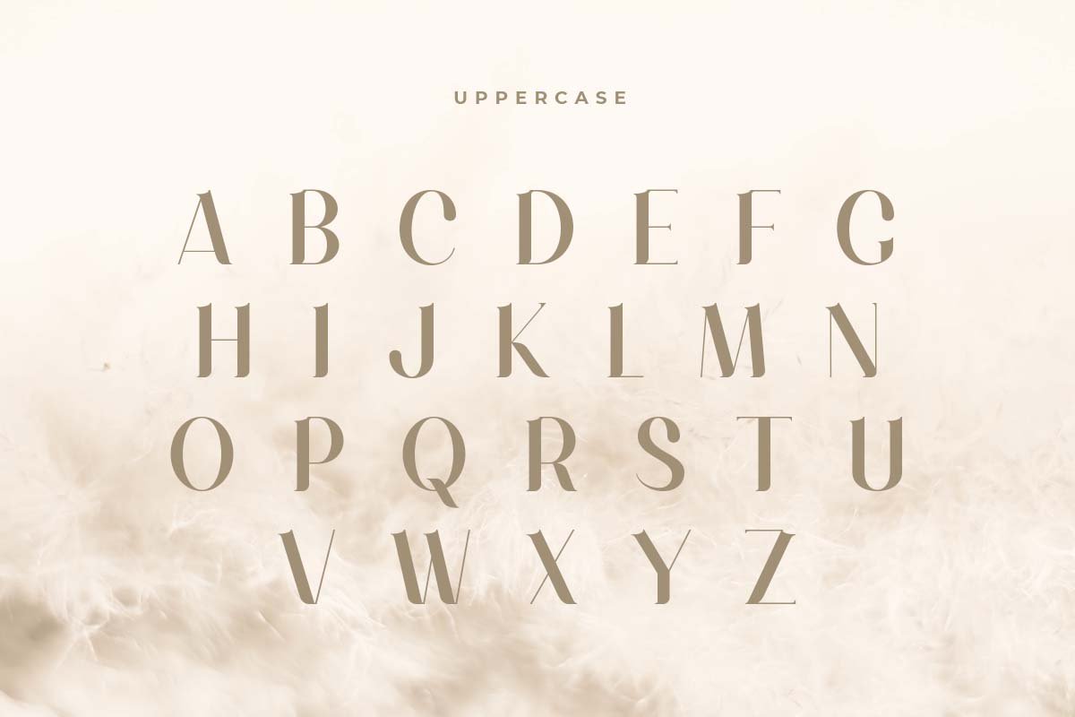 Maung - Elegant Classy Serif Font - Design Cuts