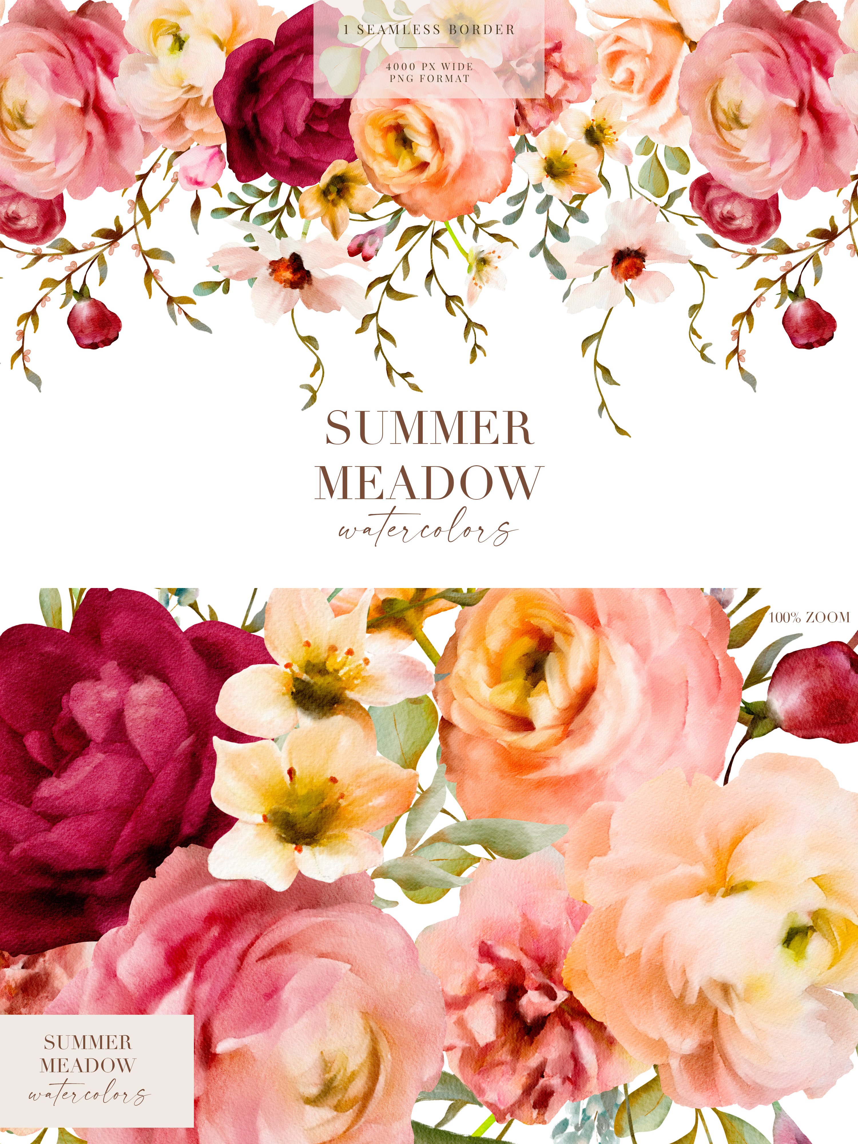 Summer Meadow Watercolor Floral Collection