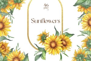 Sunflower Watercolor Hand-painted Collection