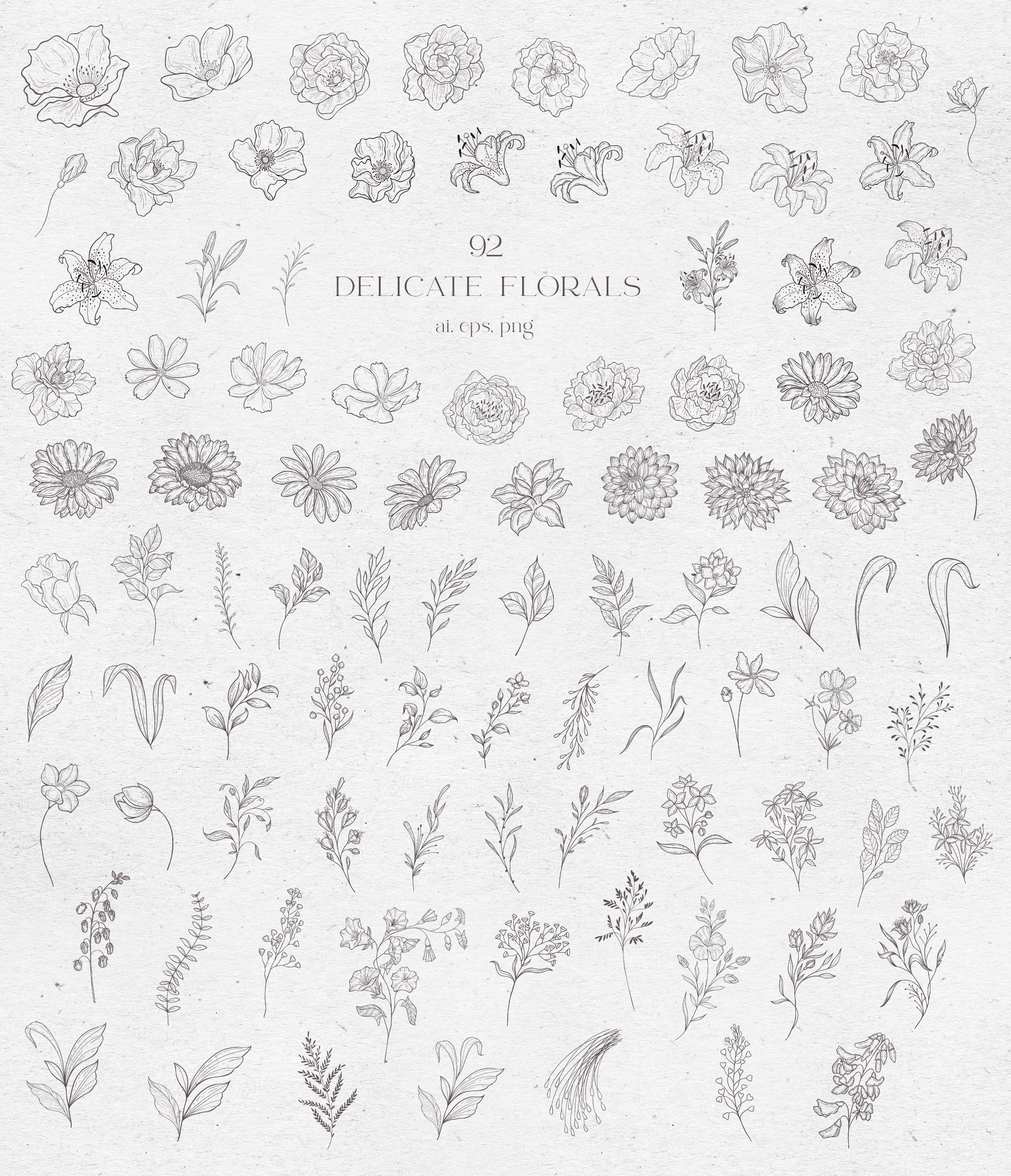 Flowered Monograms & Floral Design Elements - Design Cuts