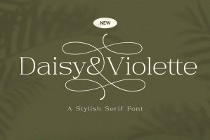 Daisy & Violette - Stylish Modern Serif