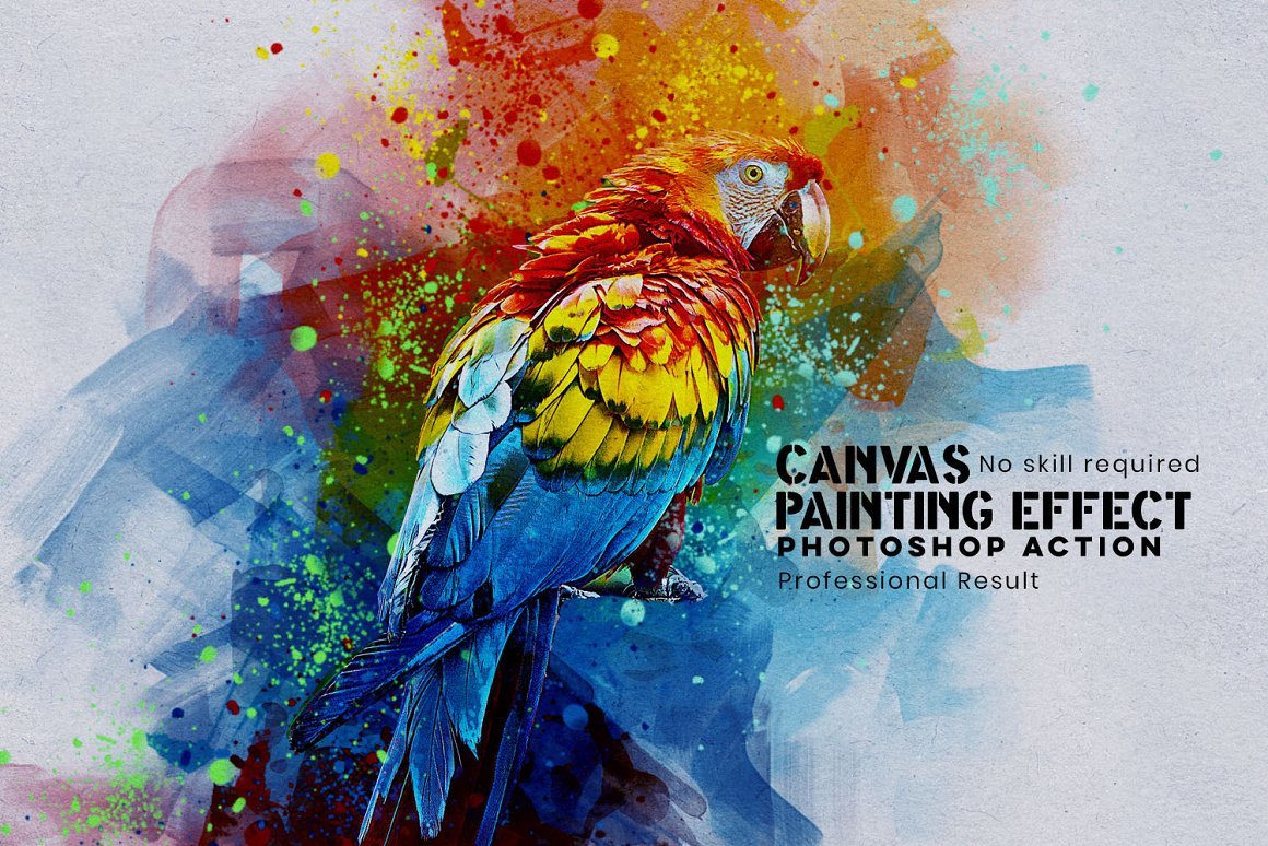 Big Size Digital Printed Canvas Painting Colourful Parrots Print