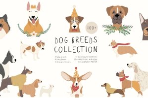 DOG Breeds Collection