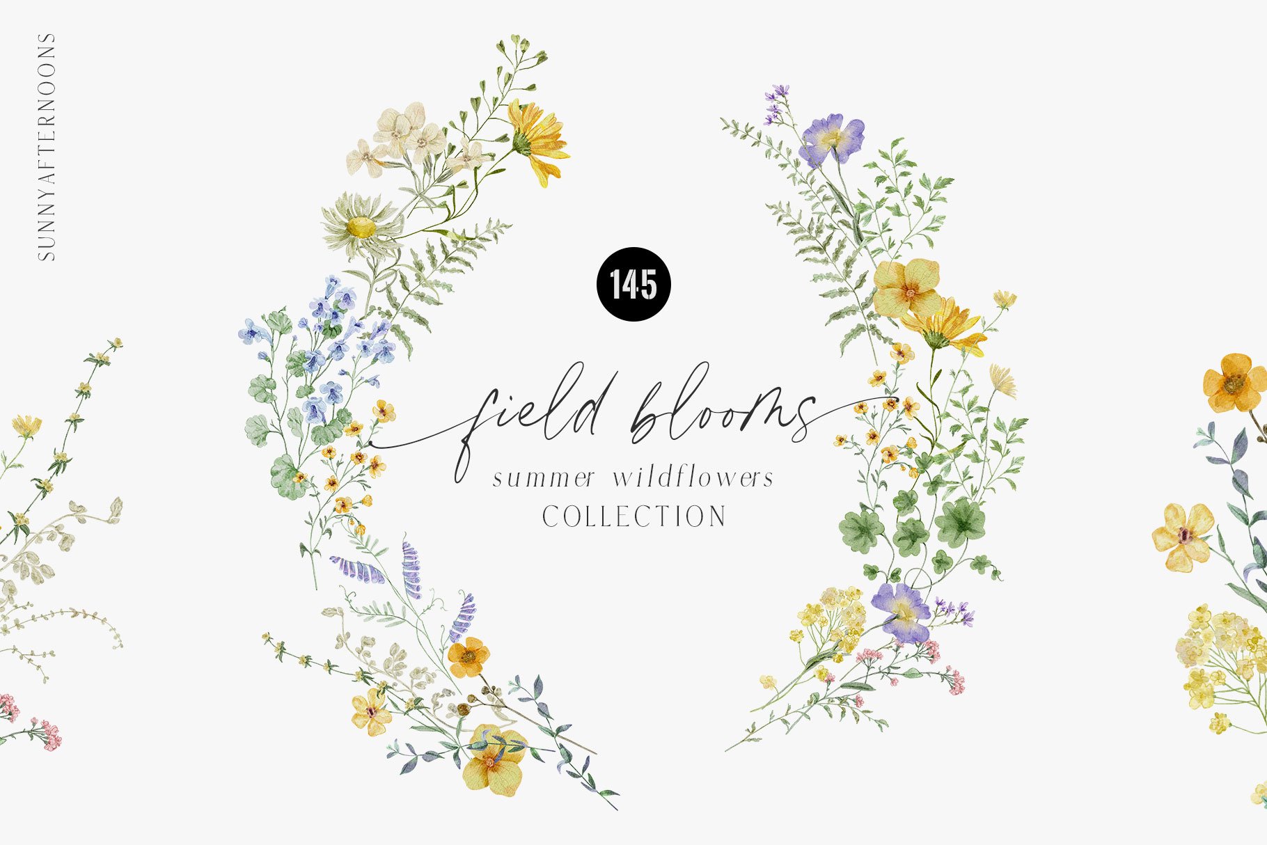 Wildflowers Watercolor Dried Wild Florals - Design Cuts