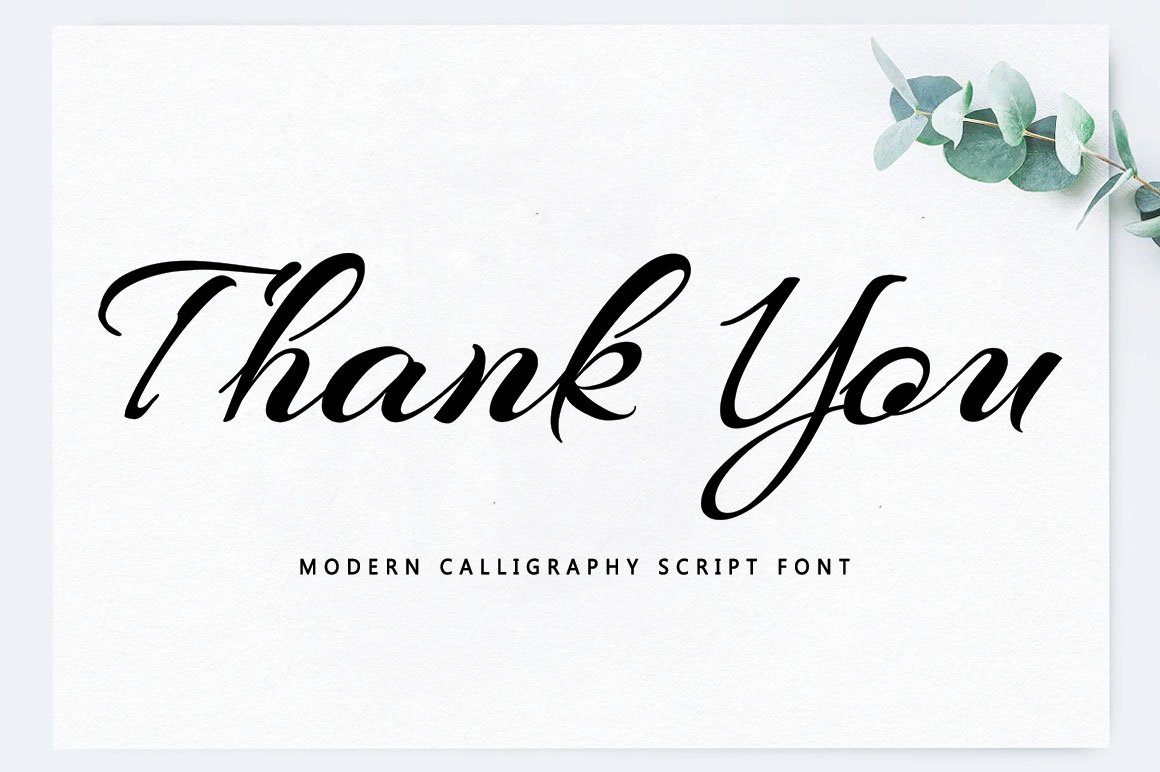 Sabidea Script Font - Design Cuts