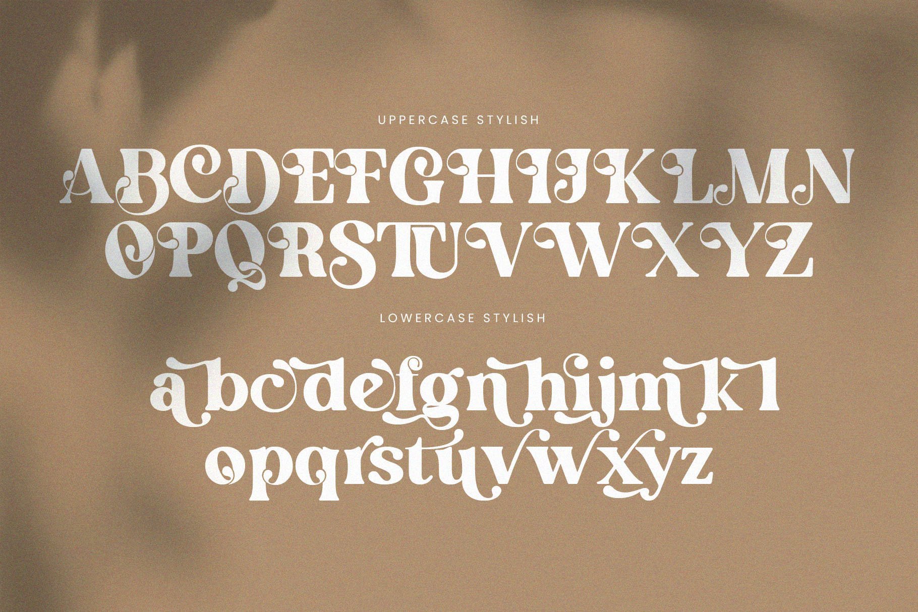 English Island Ligature Serif Font - Design Cuts