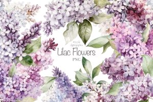 Lilac Flowers Watercolor Clipart