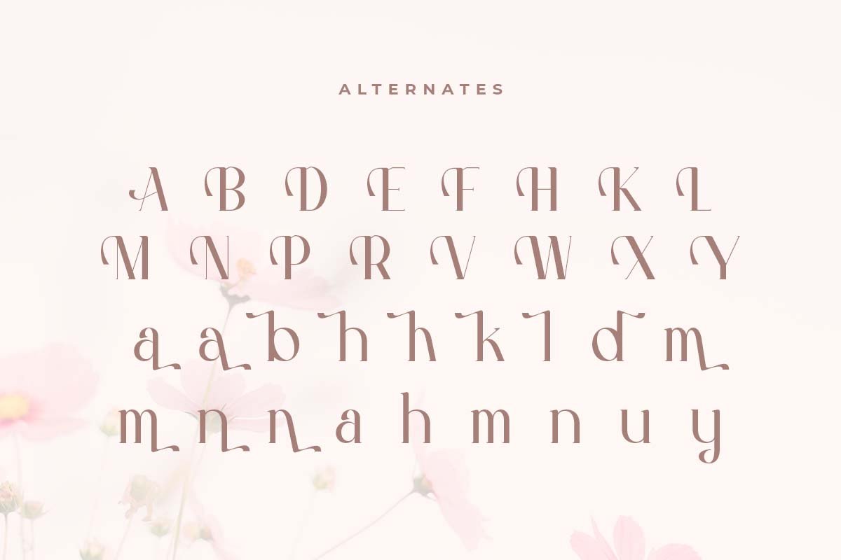 Hannah - Cute Serif Font - Design Cuts