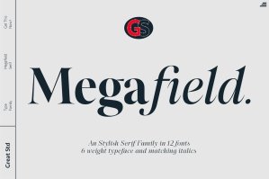 Megafield Font Family