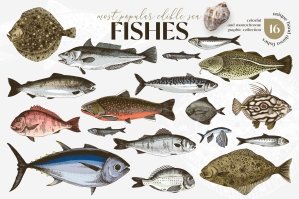 Most Popular Edible Sea Fishes