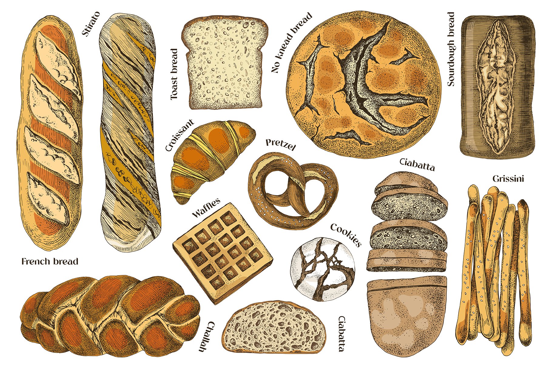 Local Bakery Types Of Bread - Design Cuts