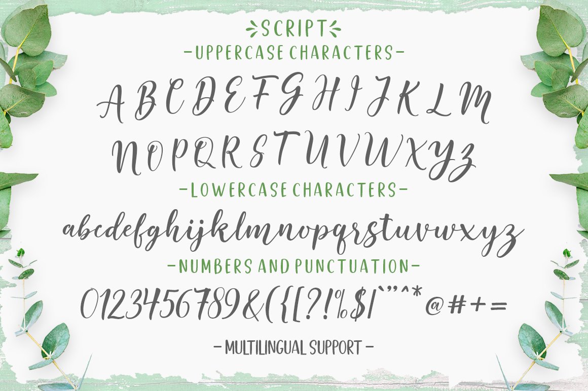 Good Selection Font Duo & Extras - Design Cuts