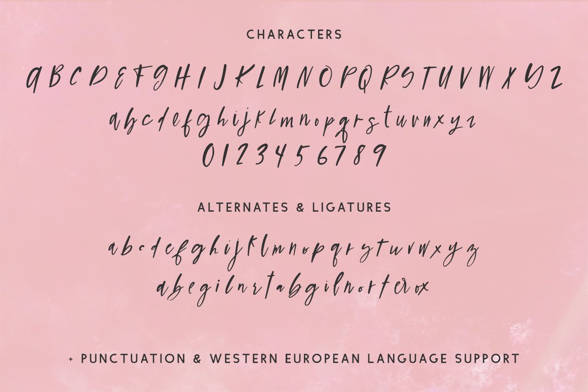 Figmented Script - Design Cuts