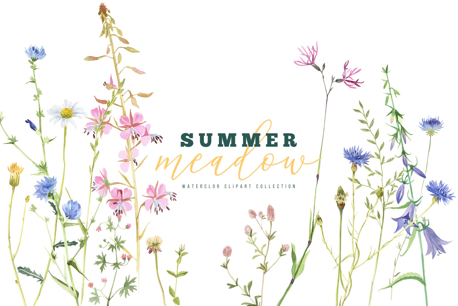 Summer Meadow Watercolor Collection