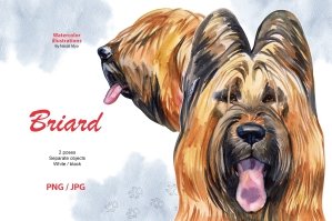 Watercolor Dog - Briard Breed