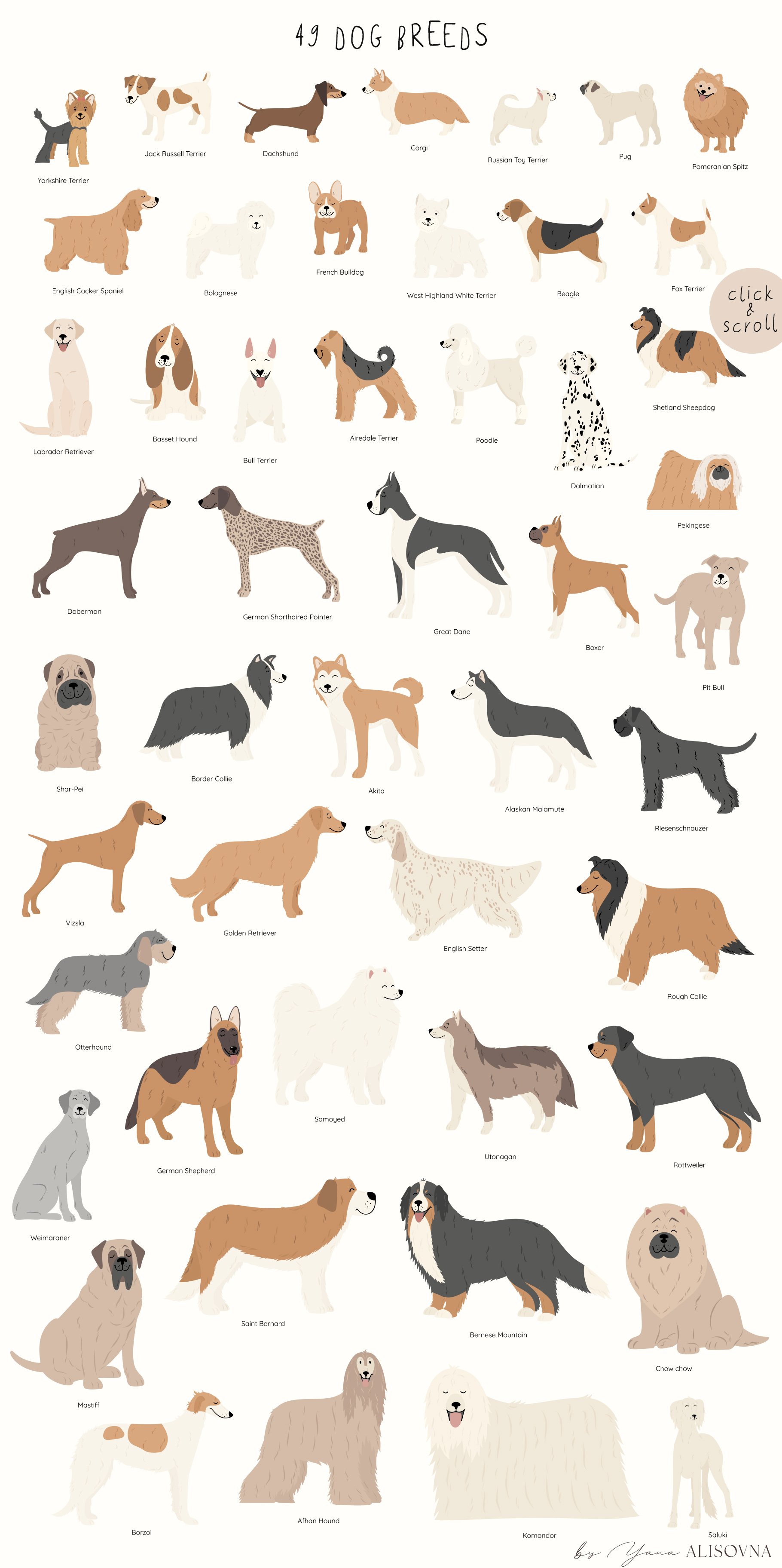 DOG Breeds Collection - Design Cuts