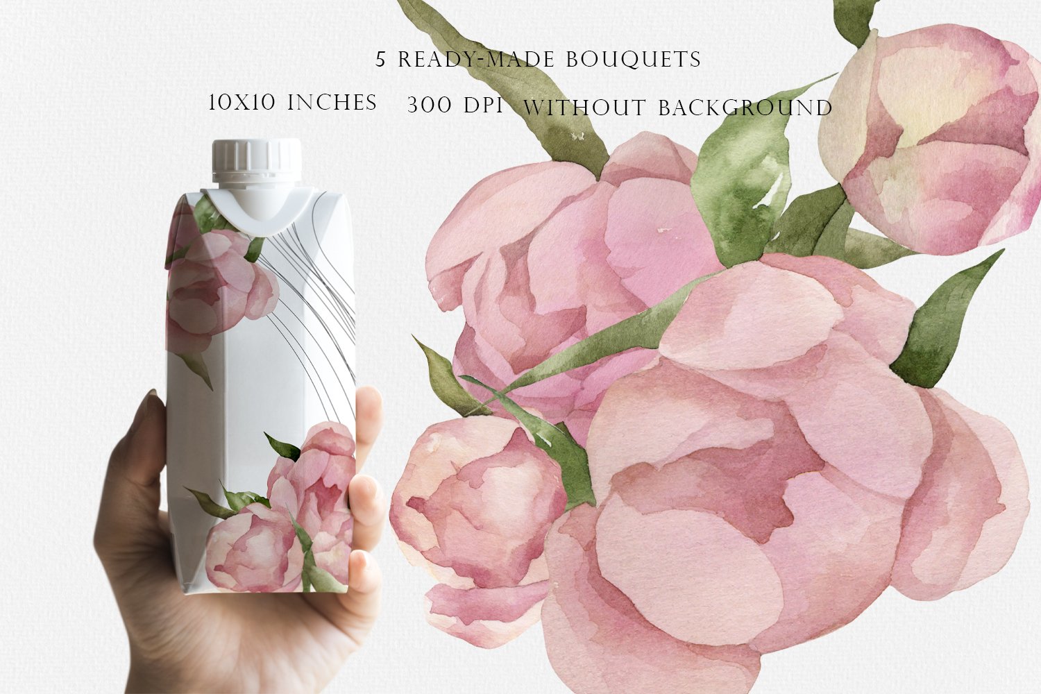 Watercolor Pink Peonies - Design Cuts