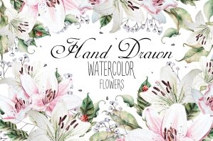Hand Drawn Watercolor Flowers Lily