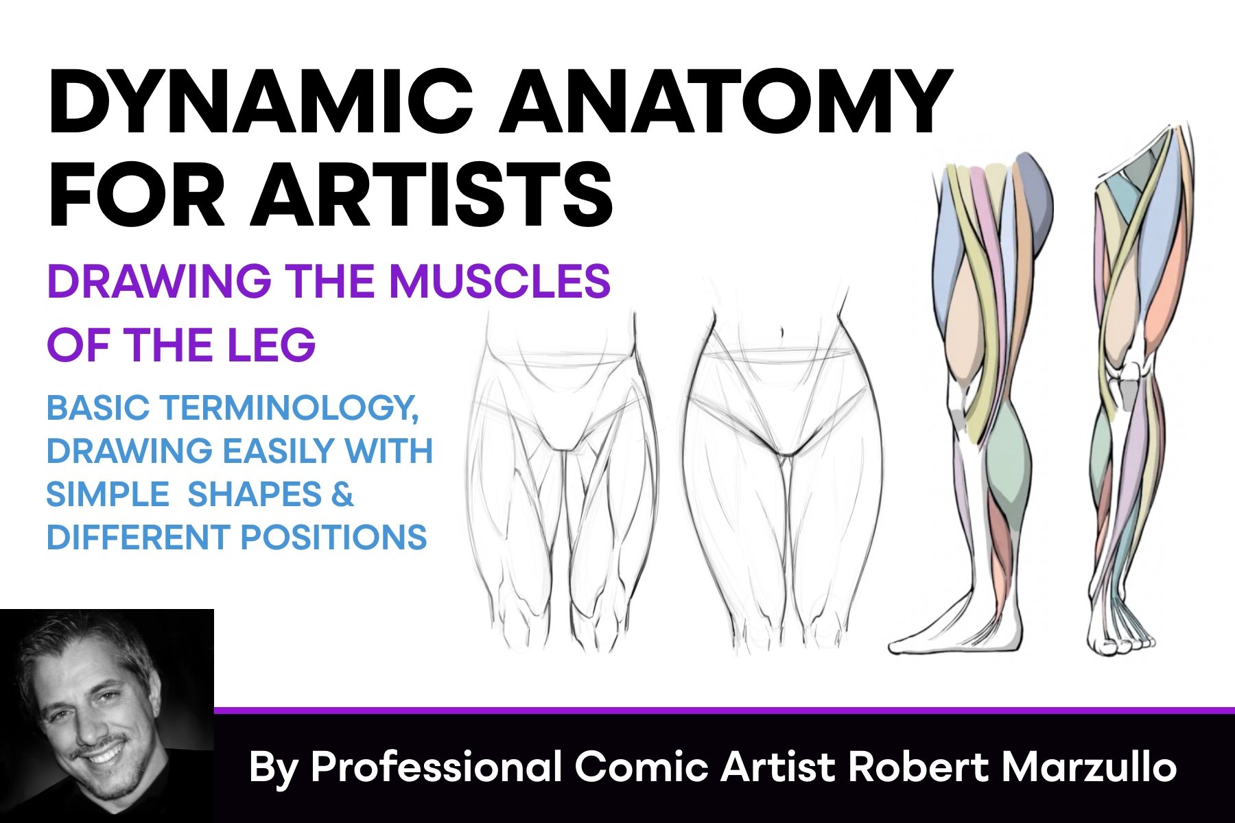 Dynamic Anatomy For Artists - Drawing The Muscles Of The Leg