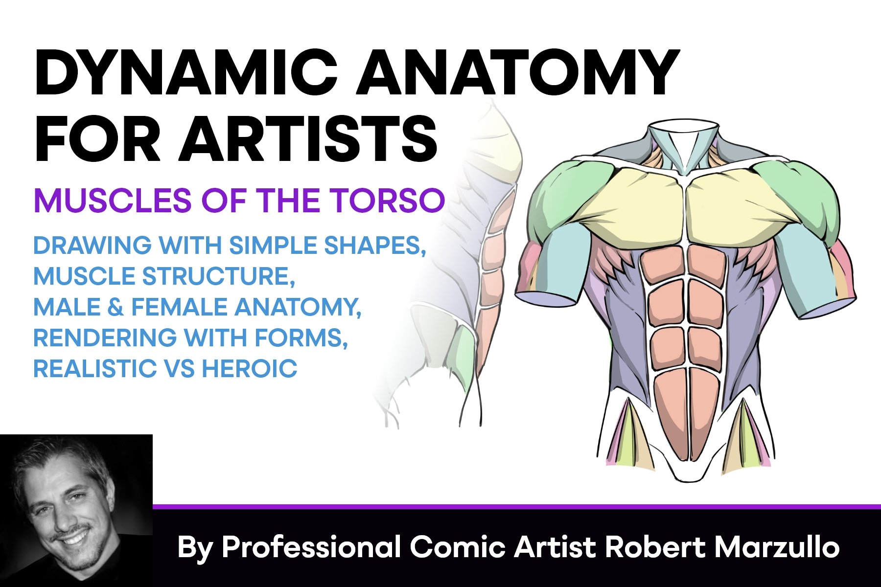 Dynamic Anatomy For Artists - Muscles Of The Torso