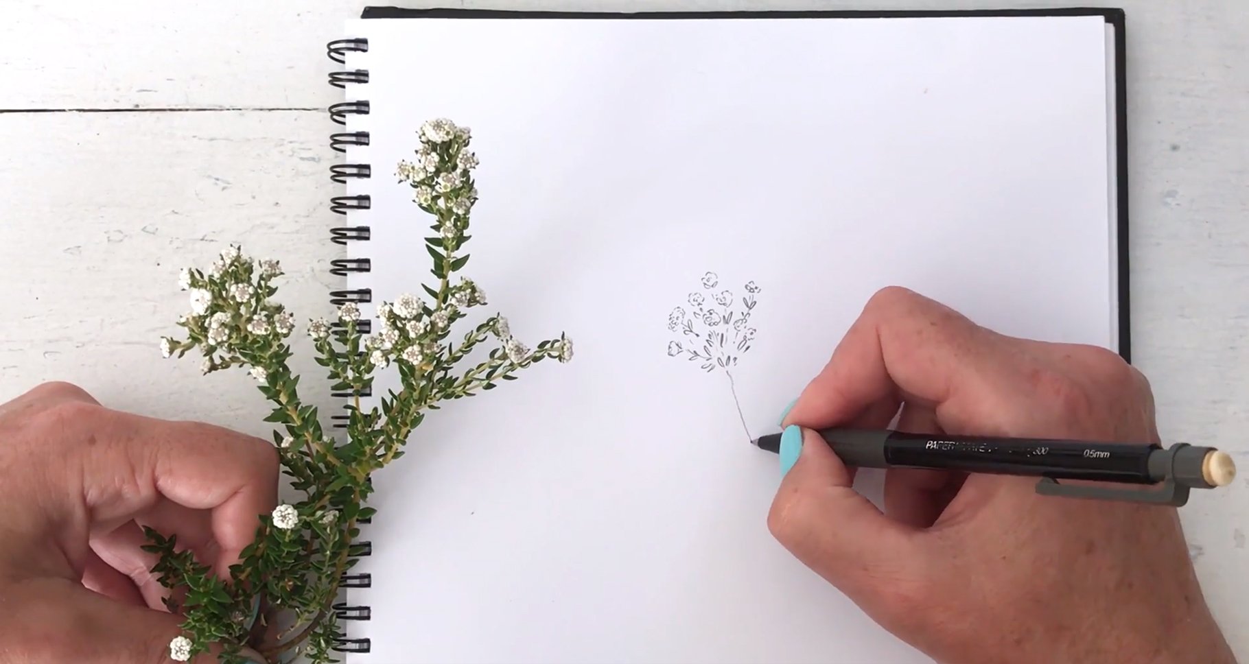 Botanical Drawing Kit for Beginners Frenchie's Floral Studio - Best Juneau  Florist and Plant Shop