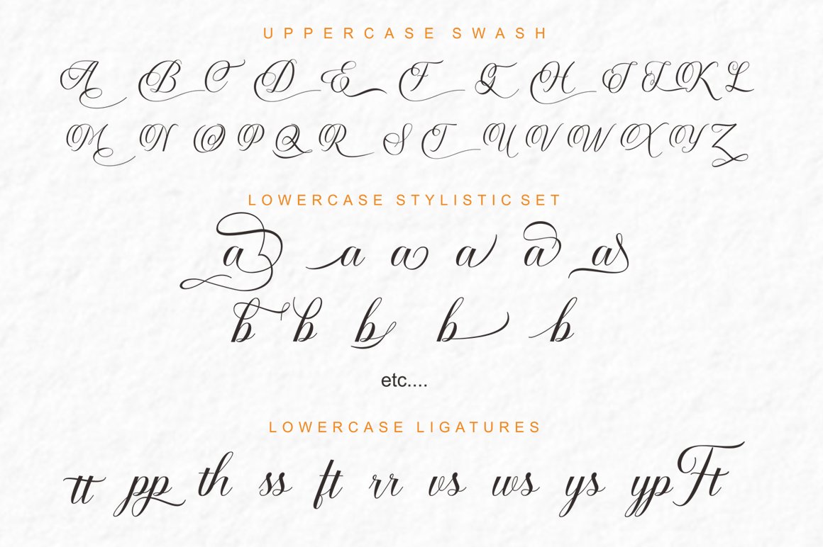 Amealnia Script - Design Cuts