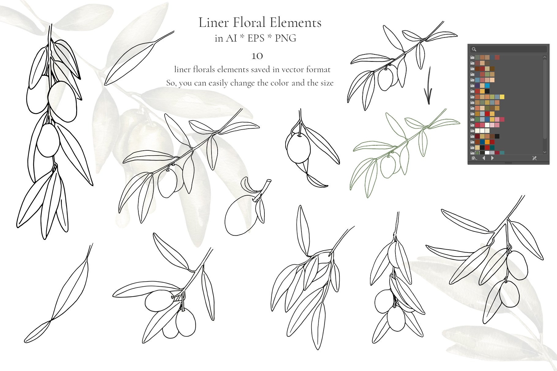 Botanical Illustration, Olive Branch Clipart black Olive Digital Download  PNG for Invitations, Scrapbooking, Collages, Prints 