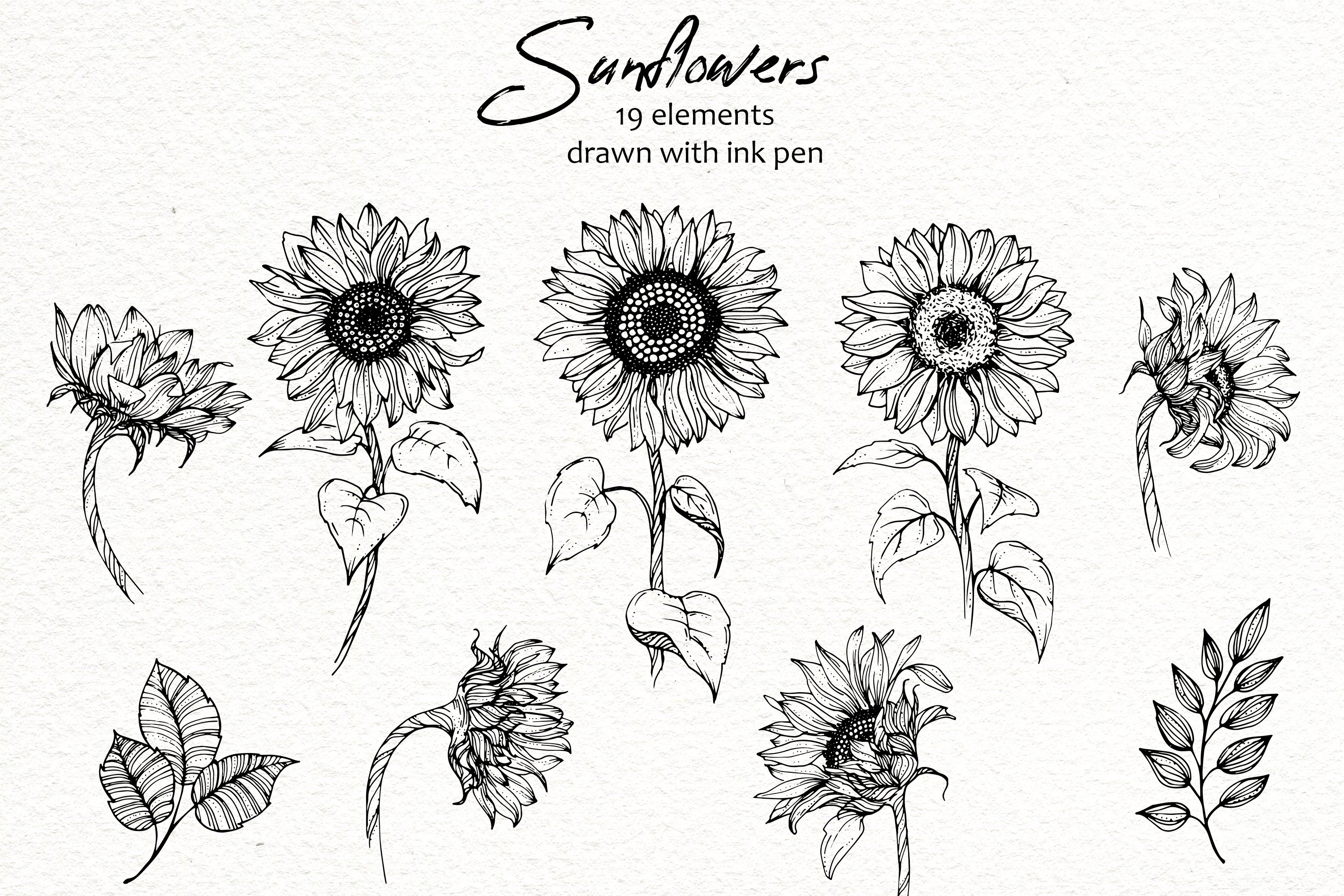 24,355 Sunflower Outline Images, Stock Photos, 3D objects, & Vectors |  Shutterstock
