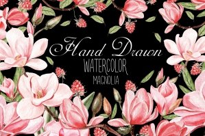Hand Dawn Watercolor Magnolia
