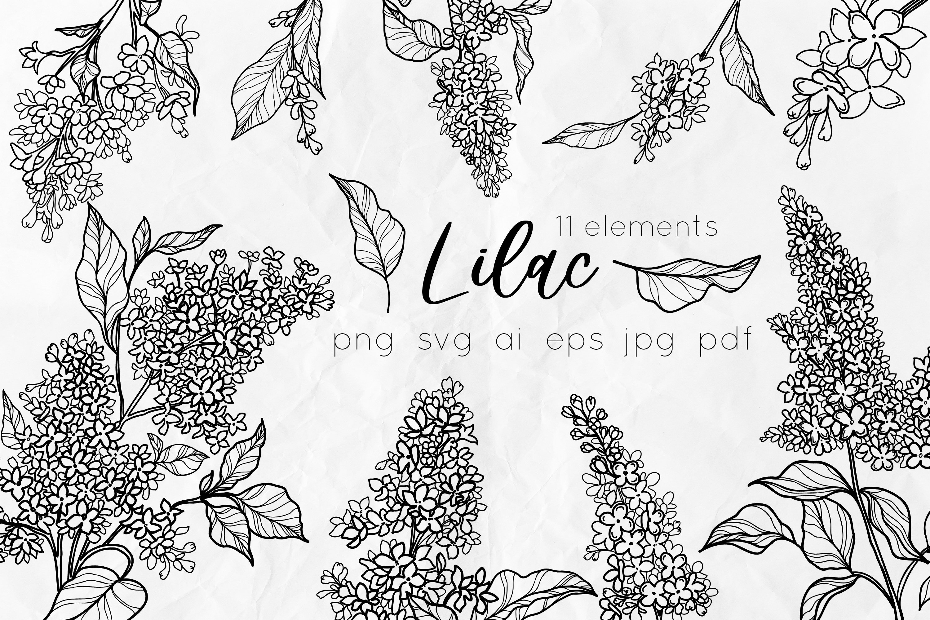 lilac flower clip art