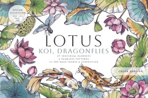 Lotus And Koi Fish Vector Set