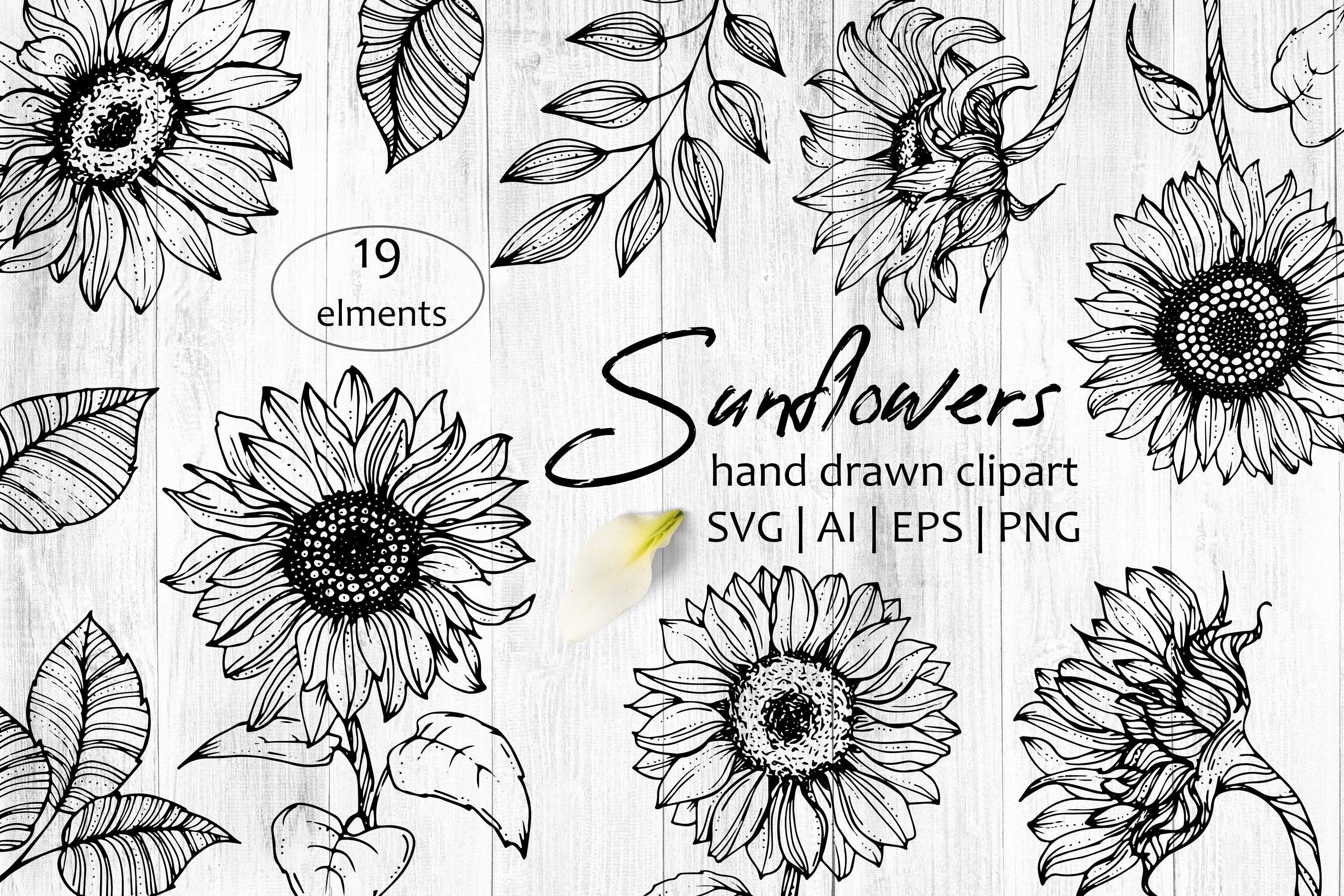 sunflower clipart outline