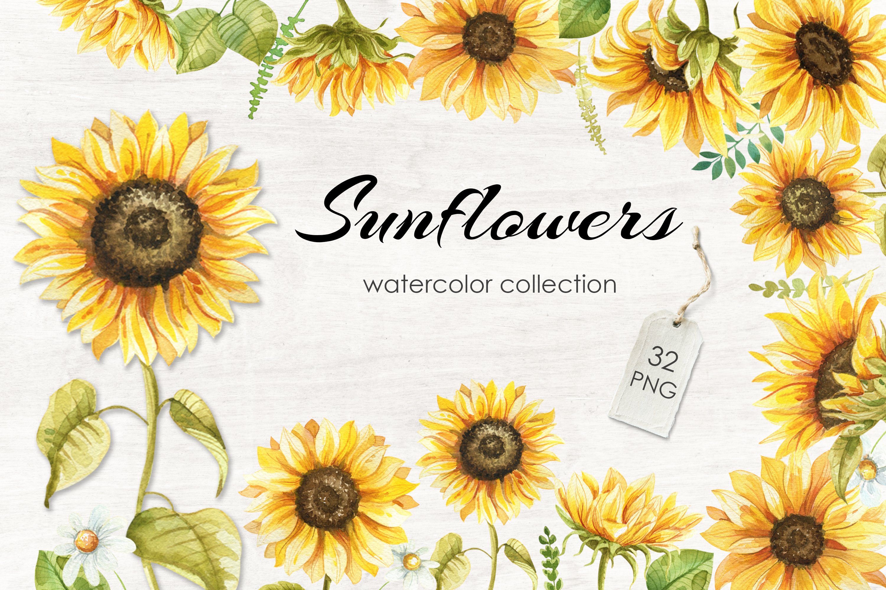 Sunflowers Watercolor Clipart - Design Cuts