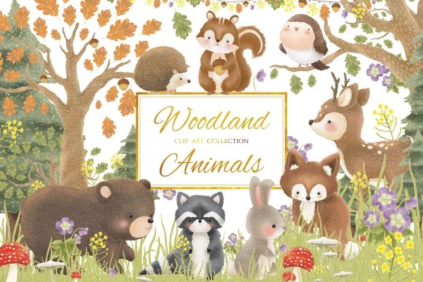 Forest Friends Animals Vector - Design Cuts