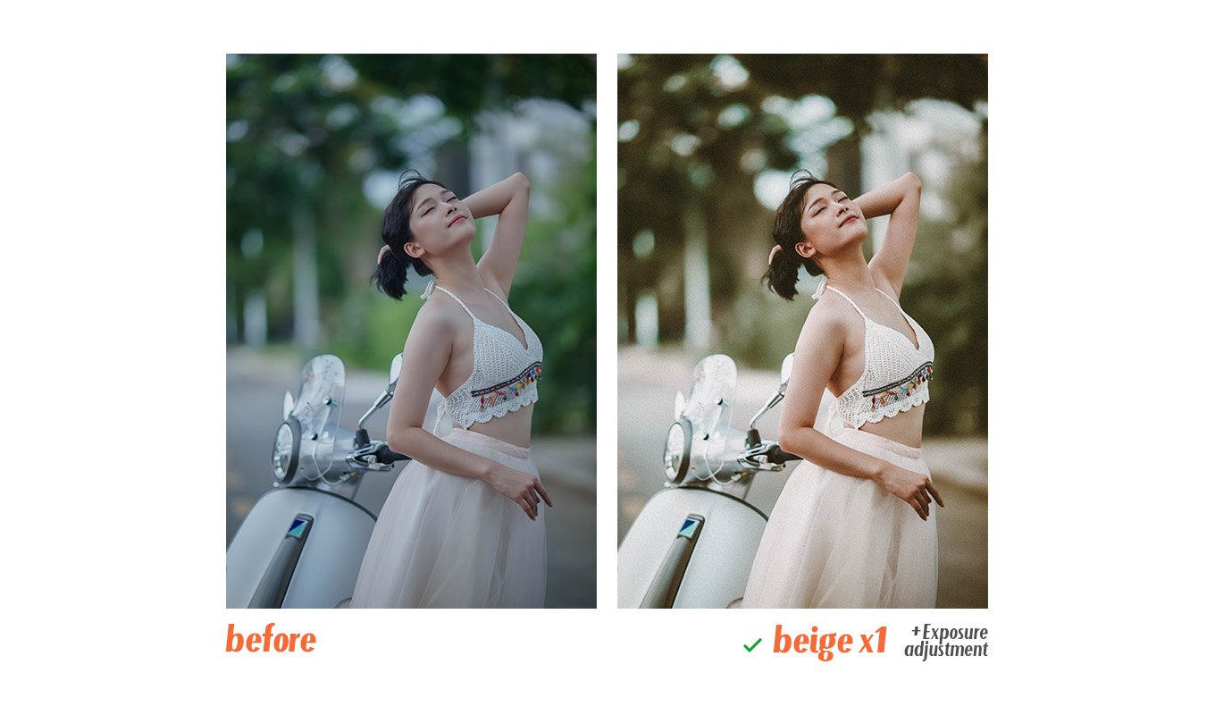 Beige - Lightroom Presets And Photoshop Actions - Design Cuts