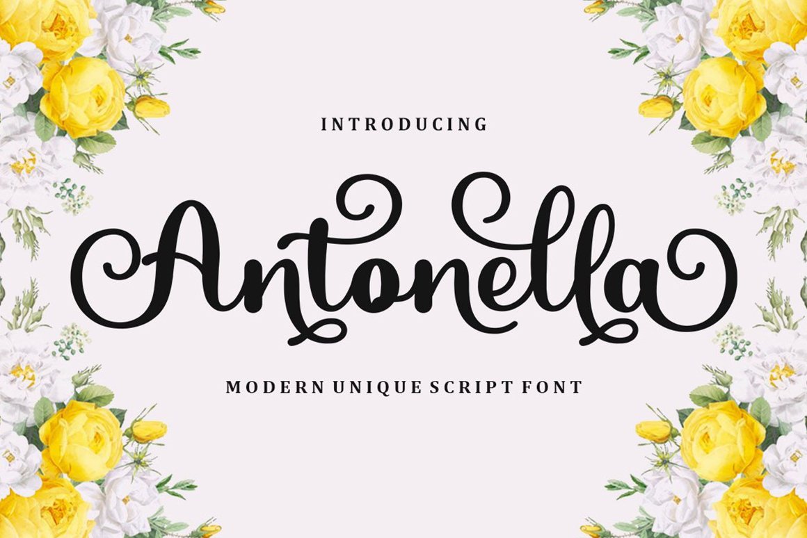 Antonella Script - Design Cuts