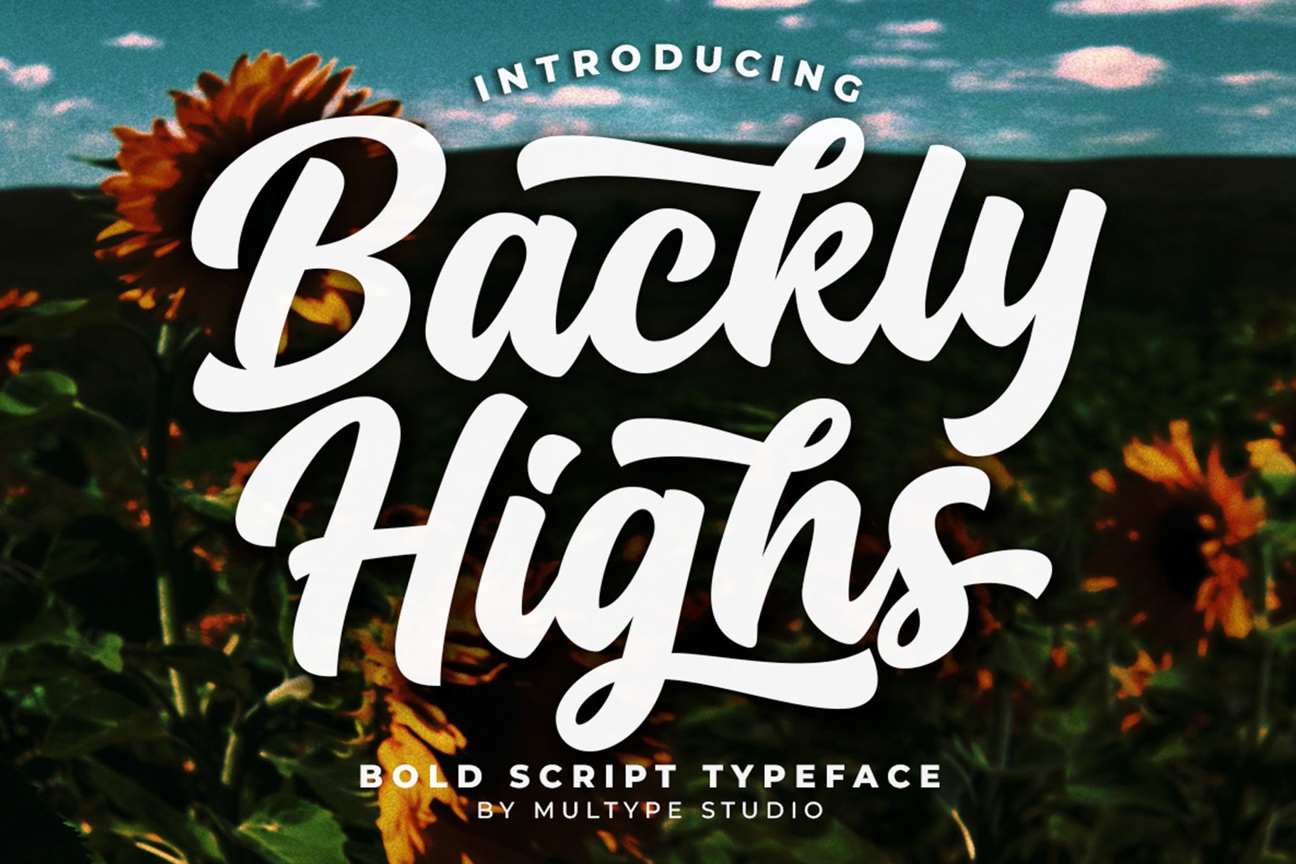 Backly Highs Bold Script Font - Design Cuts