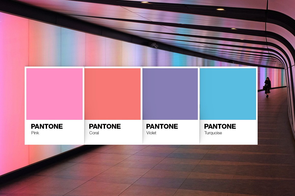 Pantone Color Cards