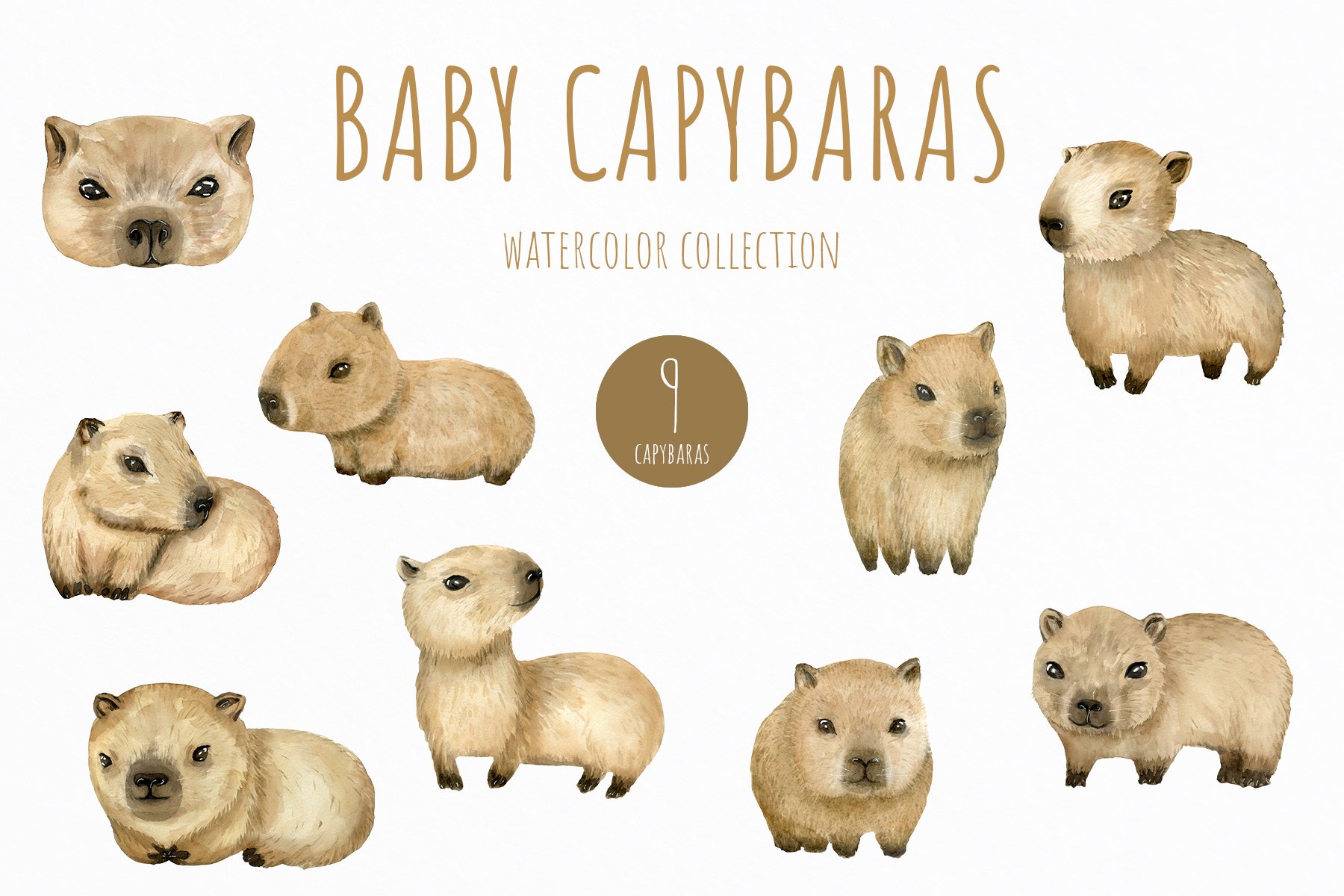 Capybara Animal Print Modern Kids Art Unique Baby Gift Animals in