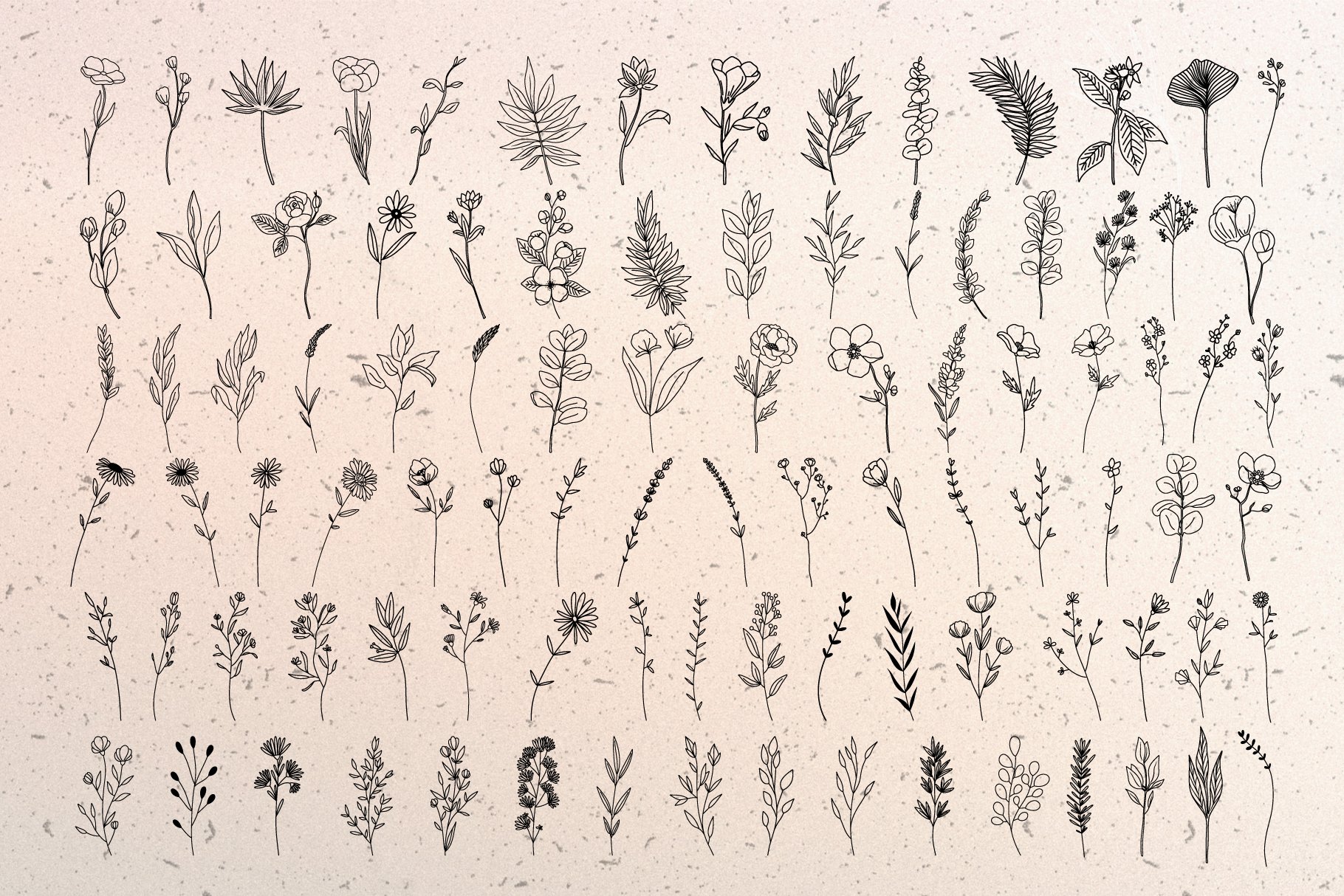 Botanical Line Art Collection - Design Cuts